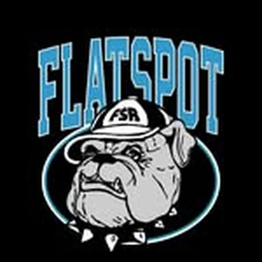 @flatspotrecords profile image