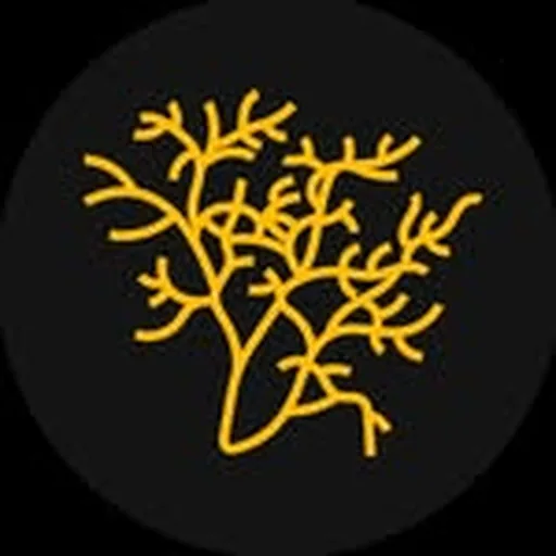 @flies_officiel profile image