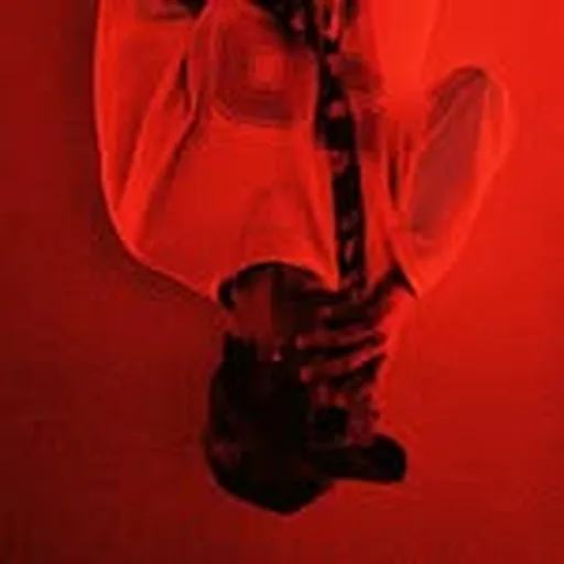 @flinkzzz profile image