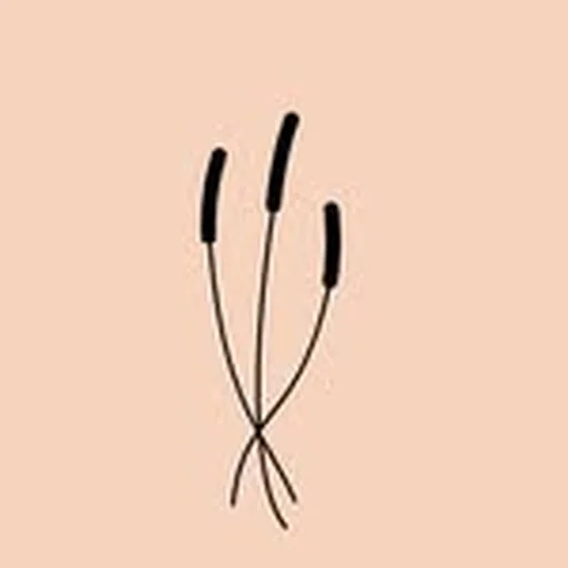 @florenea profile image