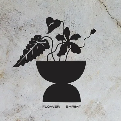 @flower.shrimp profile image