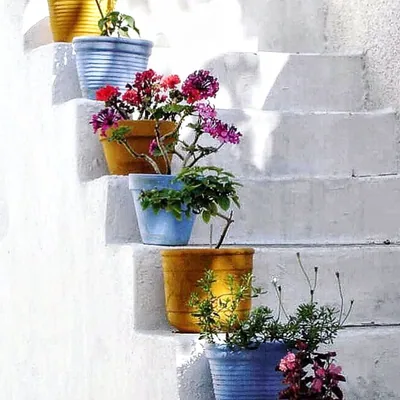 @flowerpotspoetry profile image