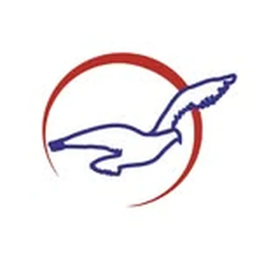 @flyairpeace profile image