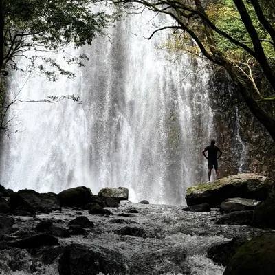 @flying.dreams7 profile image