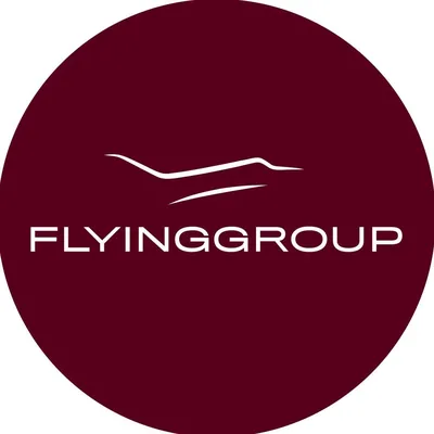 @flyinggroup.aero profile image