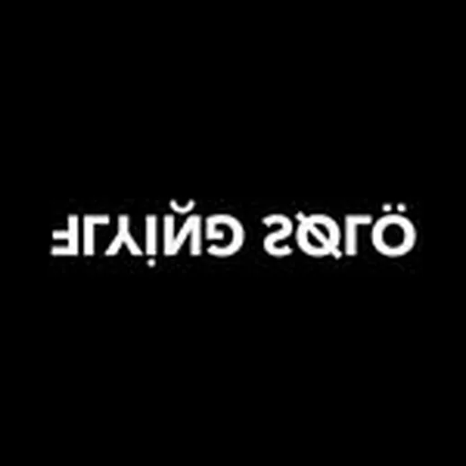 @flyingsolonyc profile image