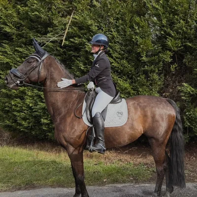 @fmnschothorses profile image