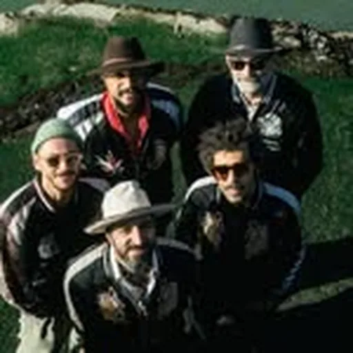 @fogo__fogo profile image