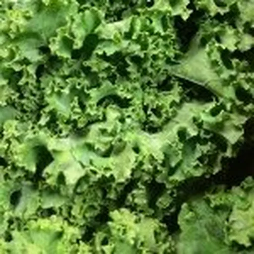 @foodcoop profile image
