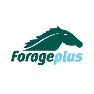 @forageplus profile image