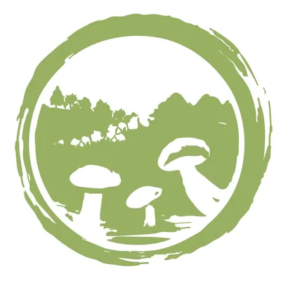 @foragingshop profile image