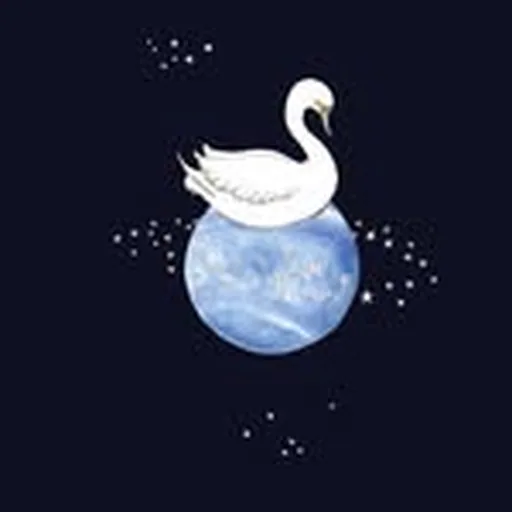 @forivor profile image
