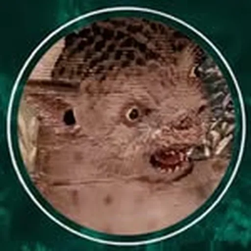 @forksare4losers profile image