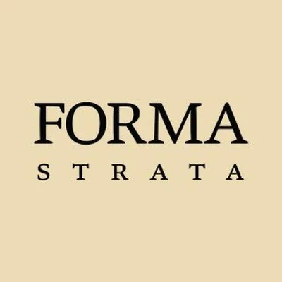 @formastrata profile image