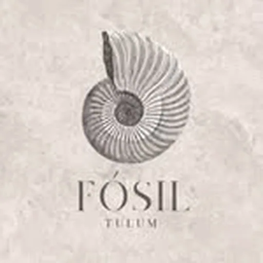 @fosiltulum profile image