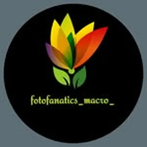 @fotofanatics_macro_ profile image