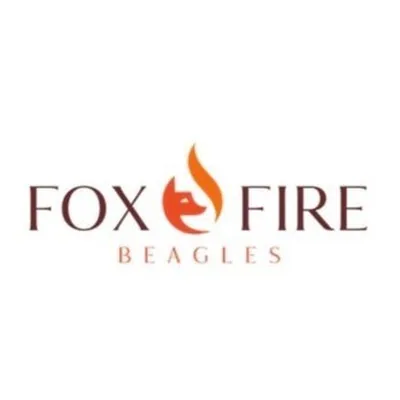@foxfirebeagle profile image