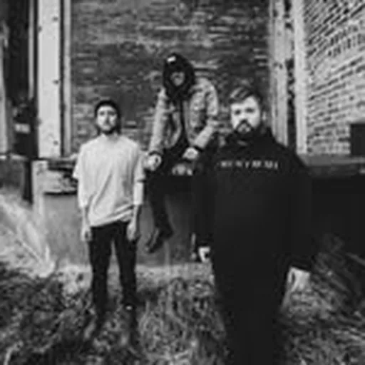 @frailbodyil profile image
