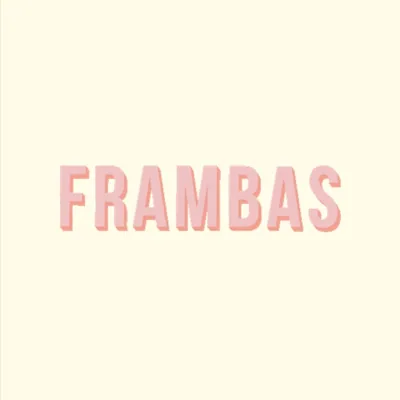 @frambascol profile image