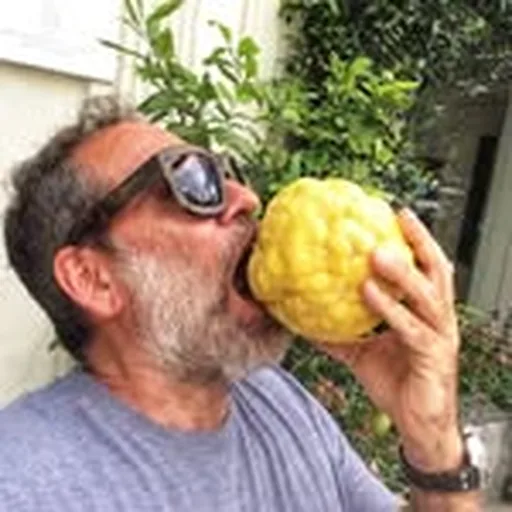 @frankprisinzano profile image