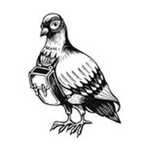 @frasercomms profile image