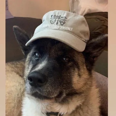 @freedawgersonly profile image