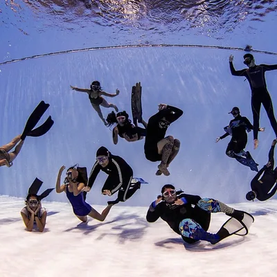 @freediving_society profile image