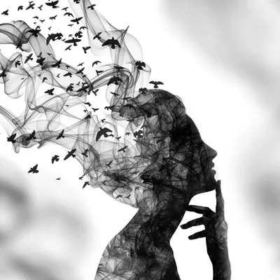 @freedom.from.the.madness profile image