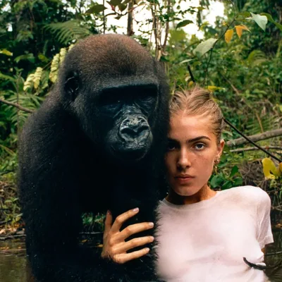 @freyaaspinall profile image