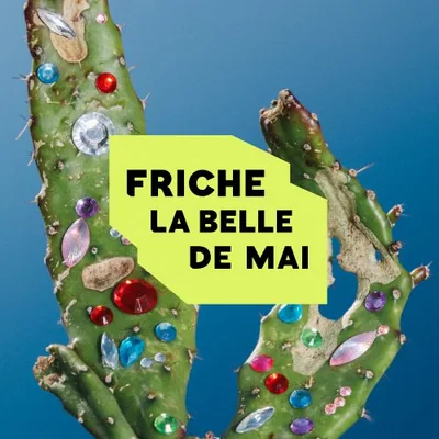 @frichelabelledemai profile image