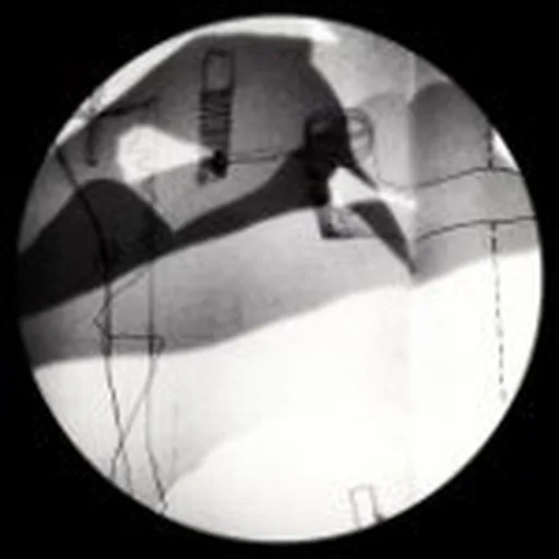 @friendsinperson profile image