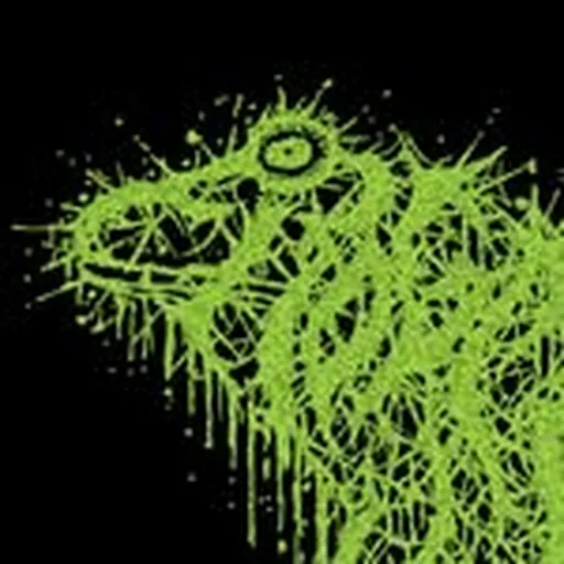 @frogmallet profile image