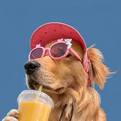 @frootythemastikhor profile image