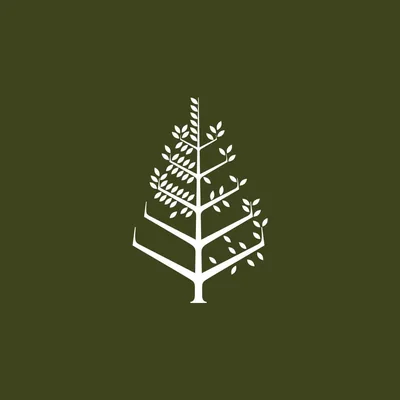 @fscabodelsol profile image