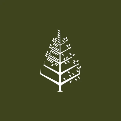 @fsnevis profile image