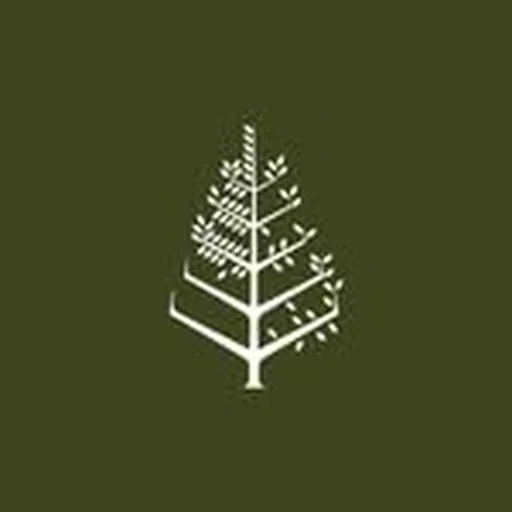 @fstamarindo profile image