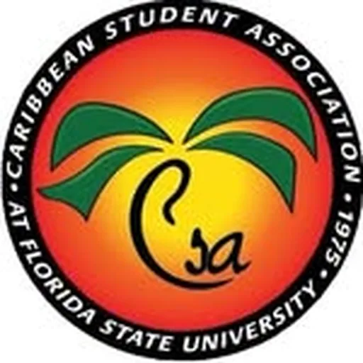 @fsucsa profile image