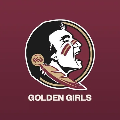 @fsugoldengirls profile image