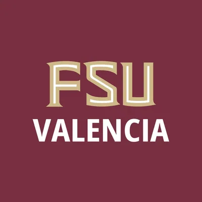 @fsuvalencia profile image