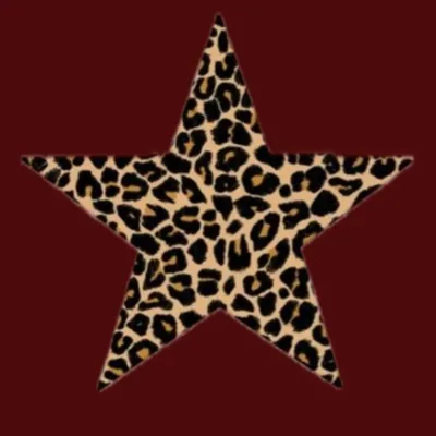@ft.diaryshtx profile image