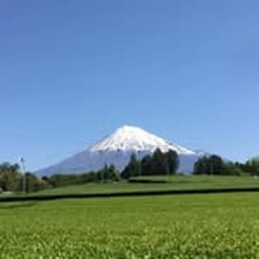 @fuji_taniku profile image