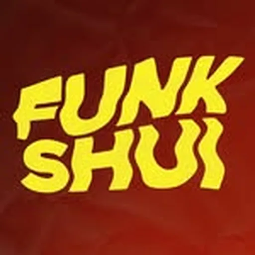 @funkshui_ profile image