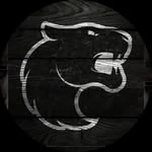 @furia.r6 profile image