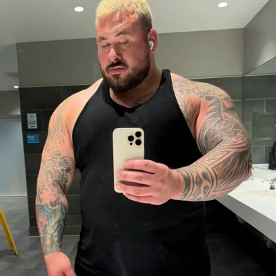 @gabequihuismeza profile image
