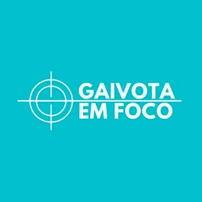 @gaivotaemfoco profile image