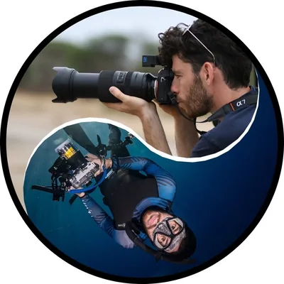 @gal.inthewild profile image
