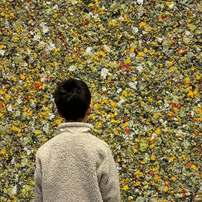 @galeriaalvaroalcazar profile image