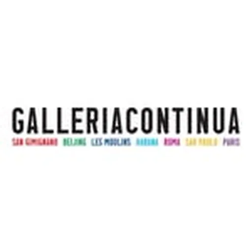 @galleriacontinua profile image