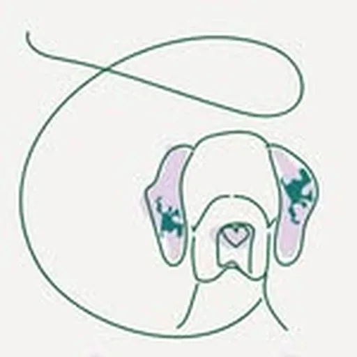 @gals.foundation profile image