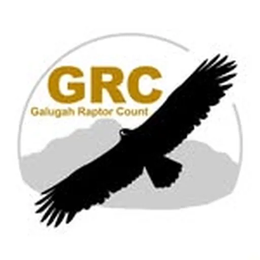 @galugahraptors profile image